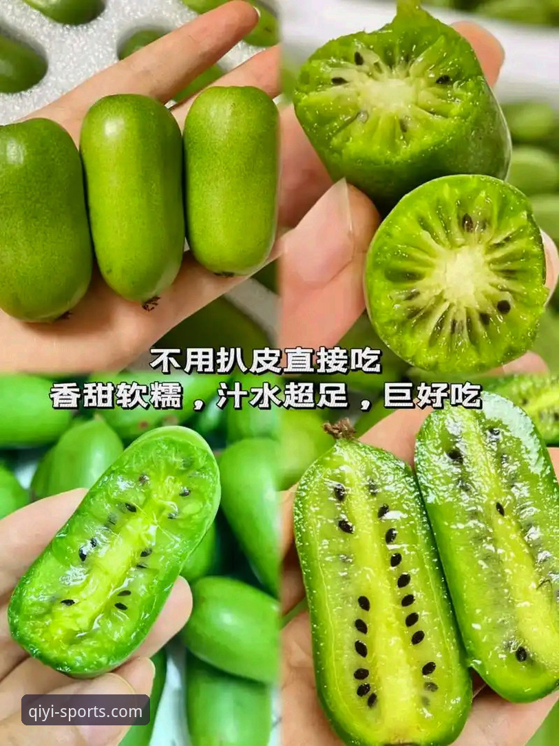奇异果体育手机版功能详解